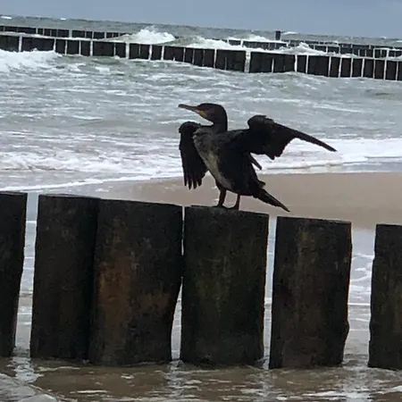 Lodge Staly Lad Ustronie Morskie