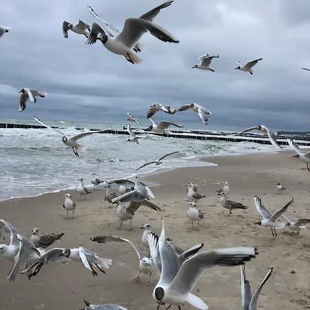 Staly Lad * Ustronie Morskie