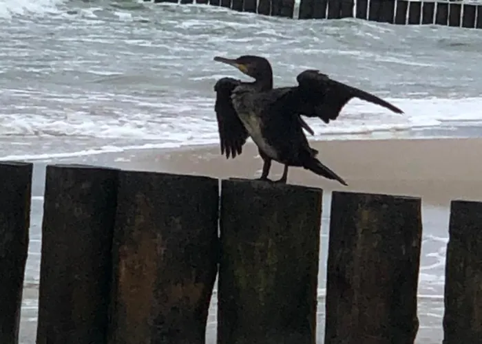 Lodge Staly Lad Ustronie Morskie